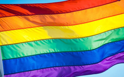 Terapia correctiva para LGBT podría ser Tortura: ONU