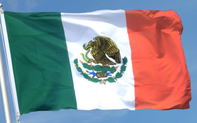 ONG’s entregan a la ONU informe sobre crímenes de lesa humanidad en México