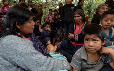 Desplazados en México, despojados de medios de subsistencia y sin opciones de reinserción laboral